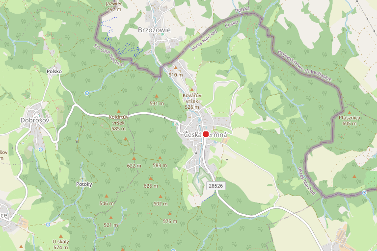 Prodej — Prodej pozemku p. č. 260/4 v k. ú. Česká Čermná